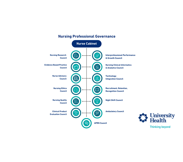 Nurse Professional Governance Infographic 2025