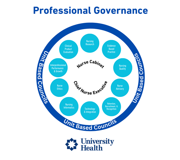 Nurse Professional Governance Infographic